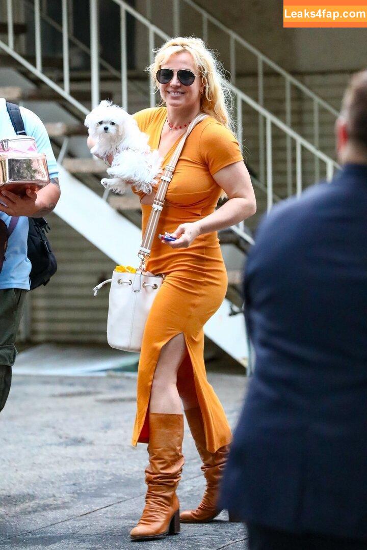 Britney Spears / britneyspears / xoxobritneyj слитое фото фото #1300