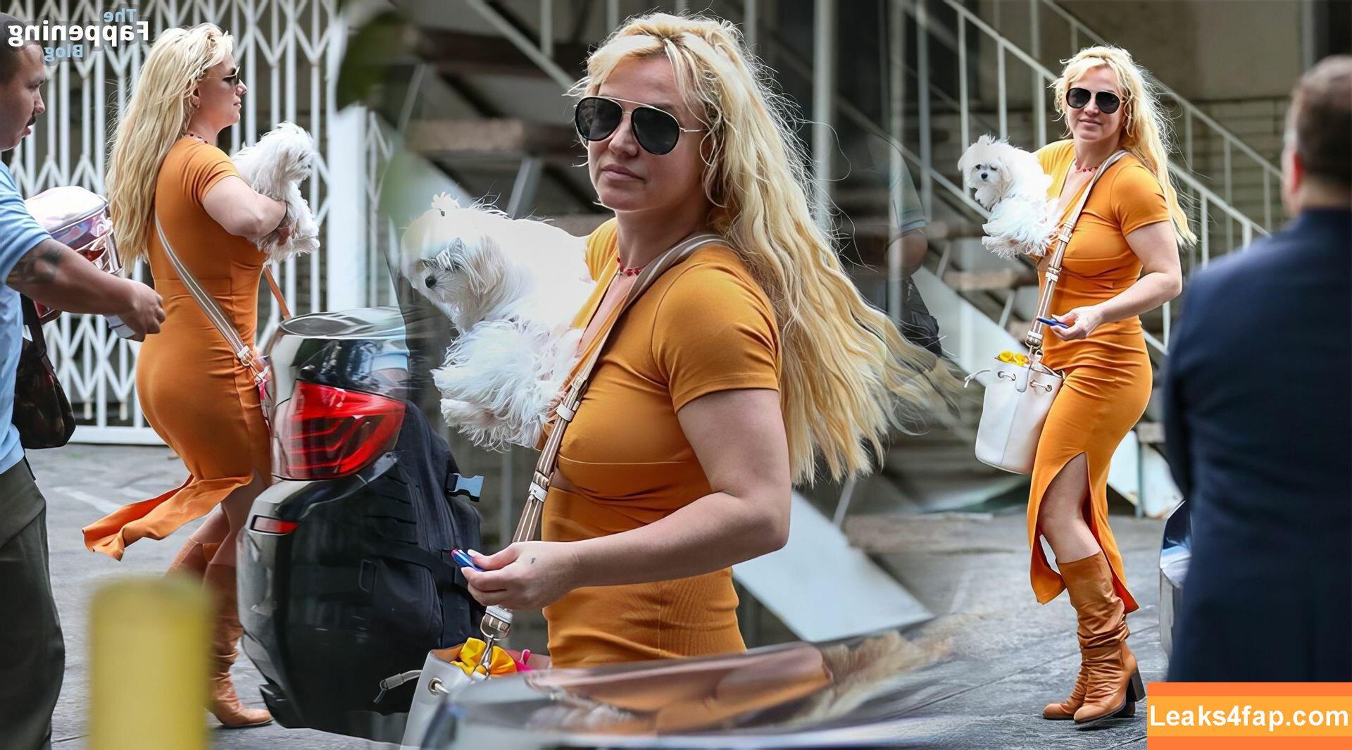 Britney Spears / britneyspears / xoxobritneyj слитое фото фото #1306