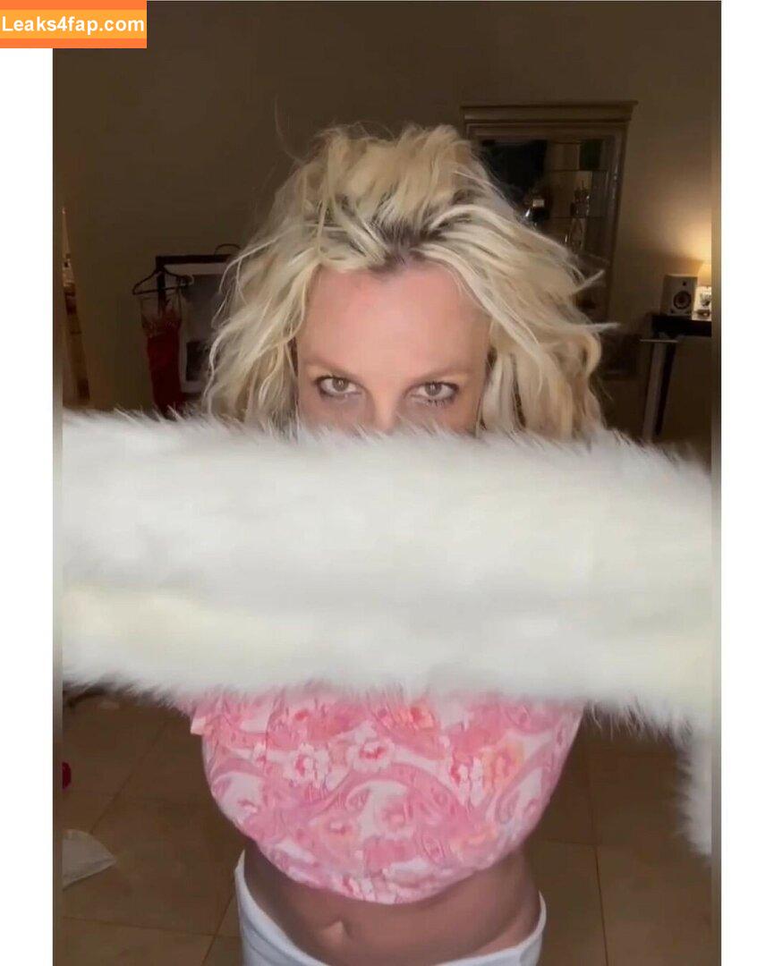 Britney Spears / britneyspears / xoxobritneyj слитое фото фото #1522