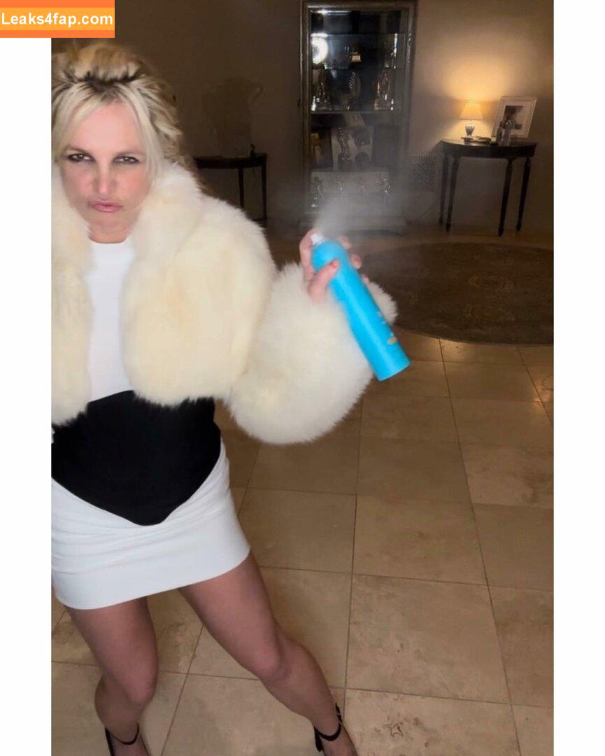 Britney Spears / britneyspears / xoxobritneyj слитое фото фото #1549