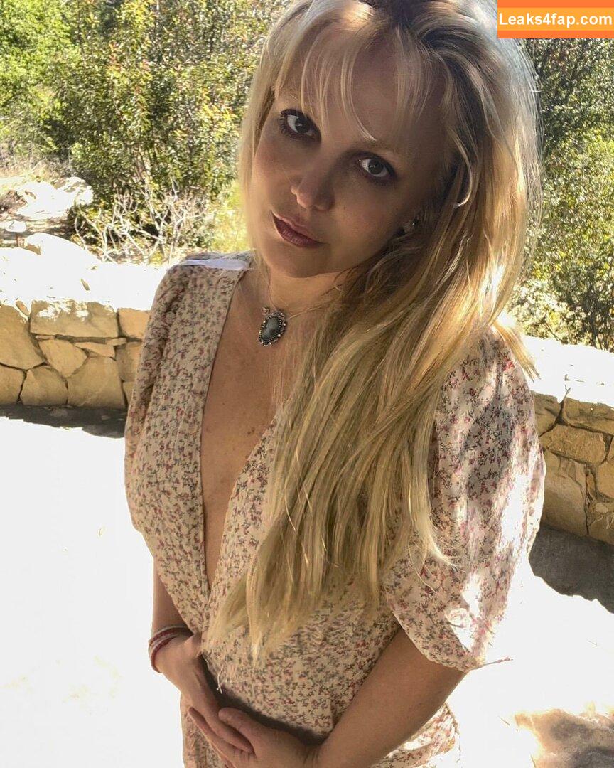 Britney Spears / britneyspears / xoxobritneyj слитое фото фото #1853