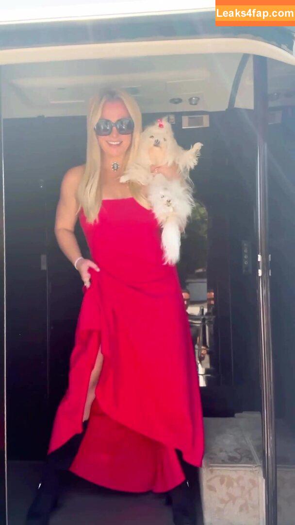 Britney Spears / britneyspears / xoxobritneyj слитое фото фото #2191