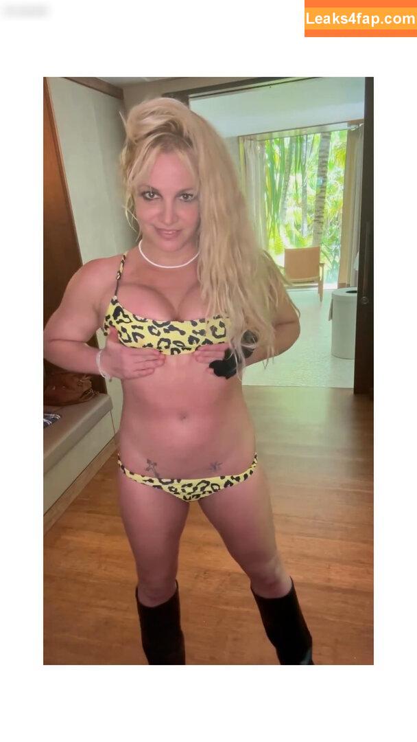 Britney Spears / britneyspears / xoxobritneyj слитое фото фото #2305