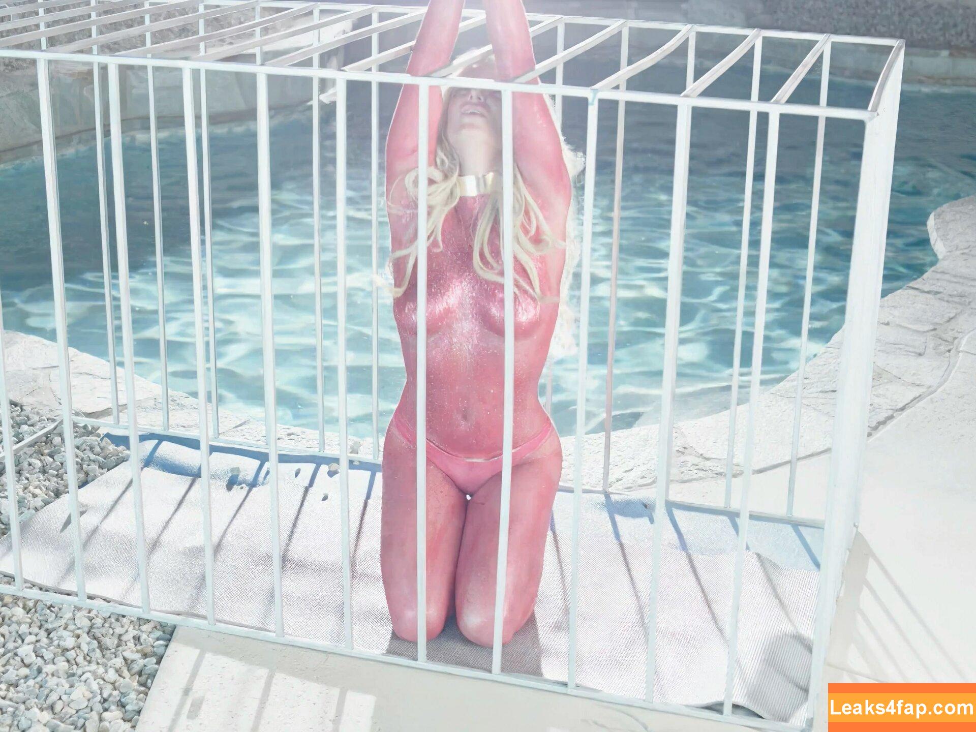 Britney Spears / britneyspears / xoxobritneyj слитое фото фото #2332