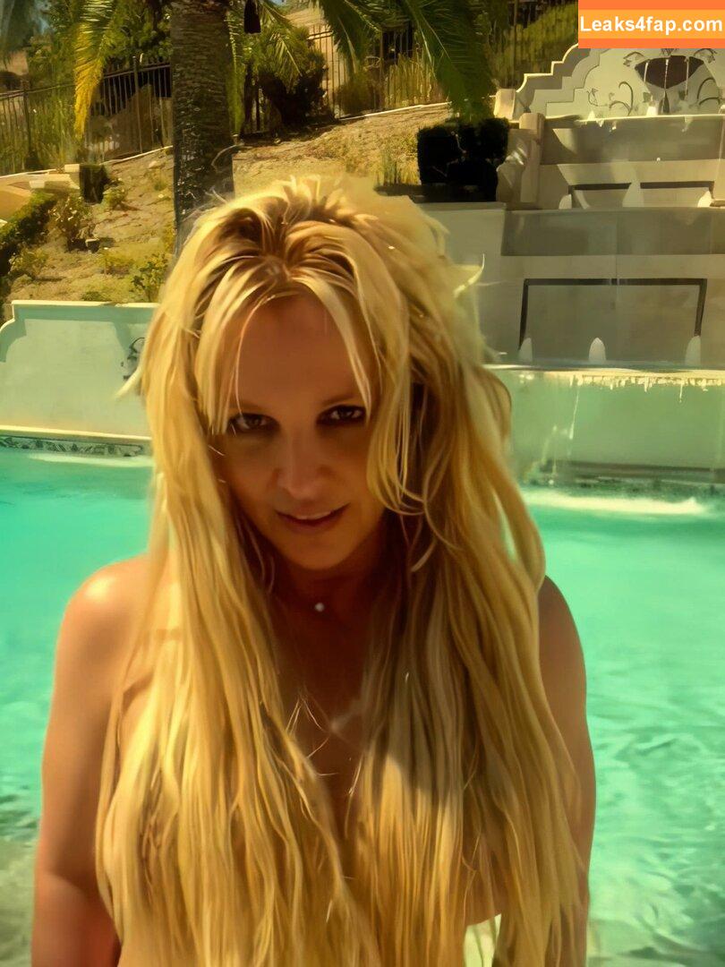 Britney Spears / britneyspears / xoxobritneyj leaked photo photo #2941