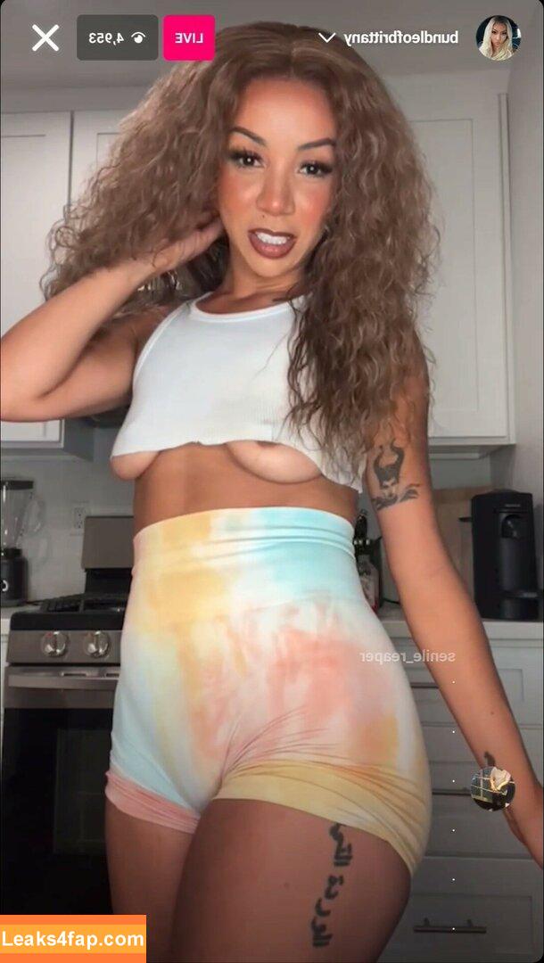 Brittany Renner / bundleofbrittany leaked photo photo #0524