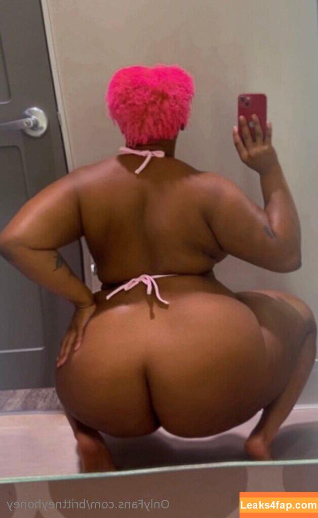 brittneyhoney / realbrittneyhonney leaked photo photo #0067