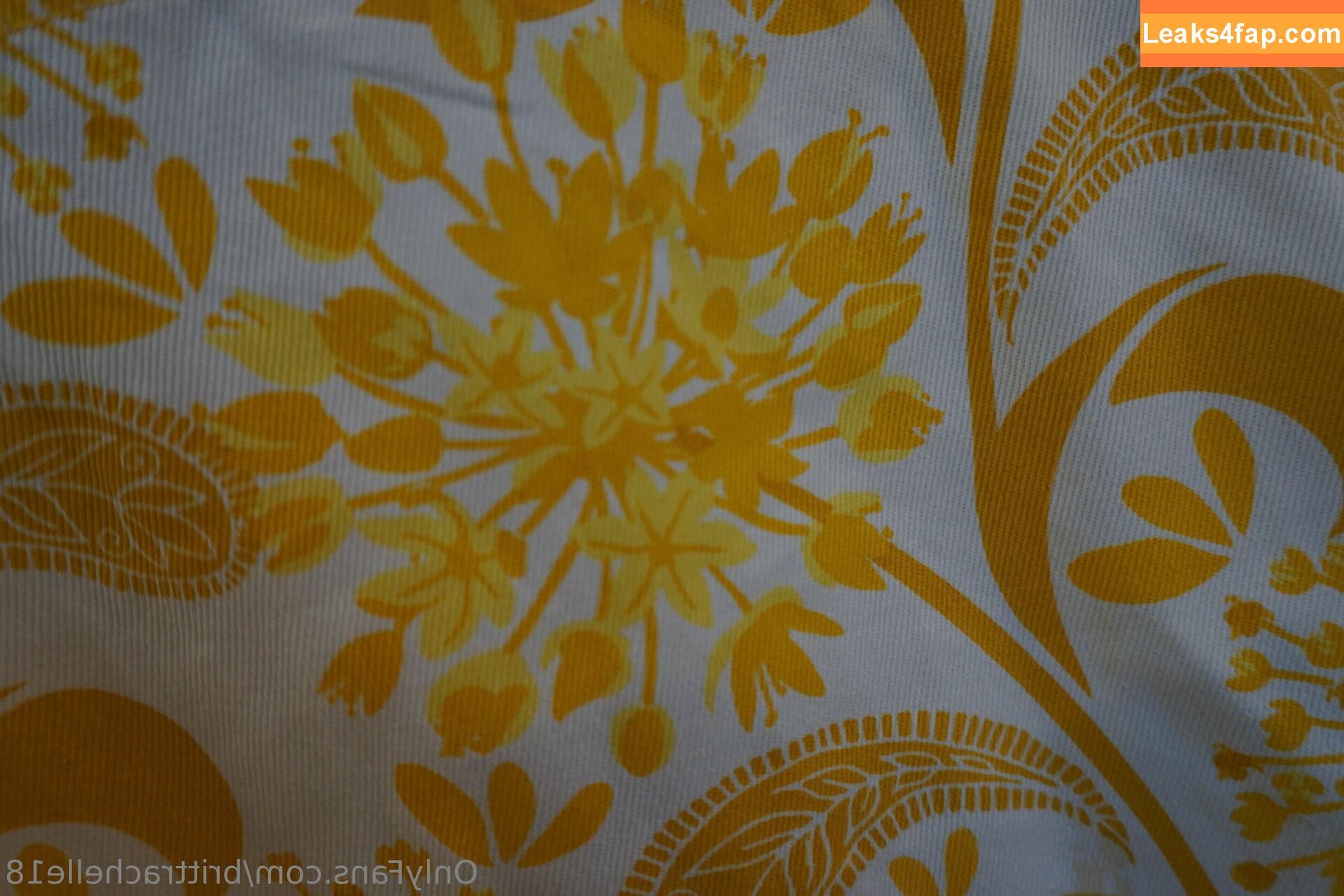 brittrachelle18 / Britt Rachelle / brittrachelle leaked photo photo #0053