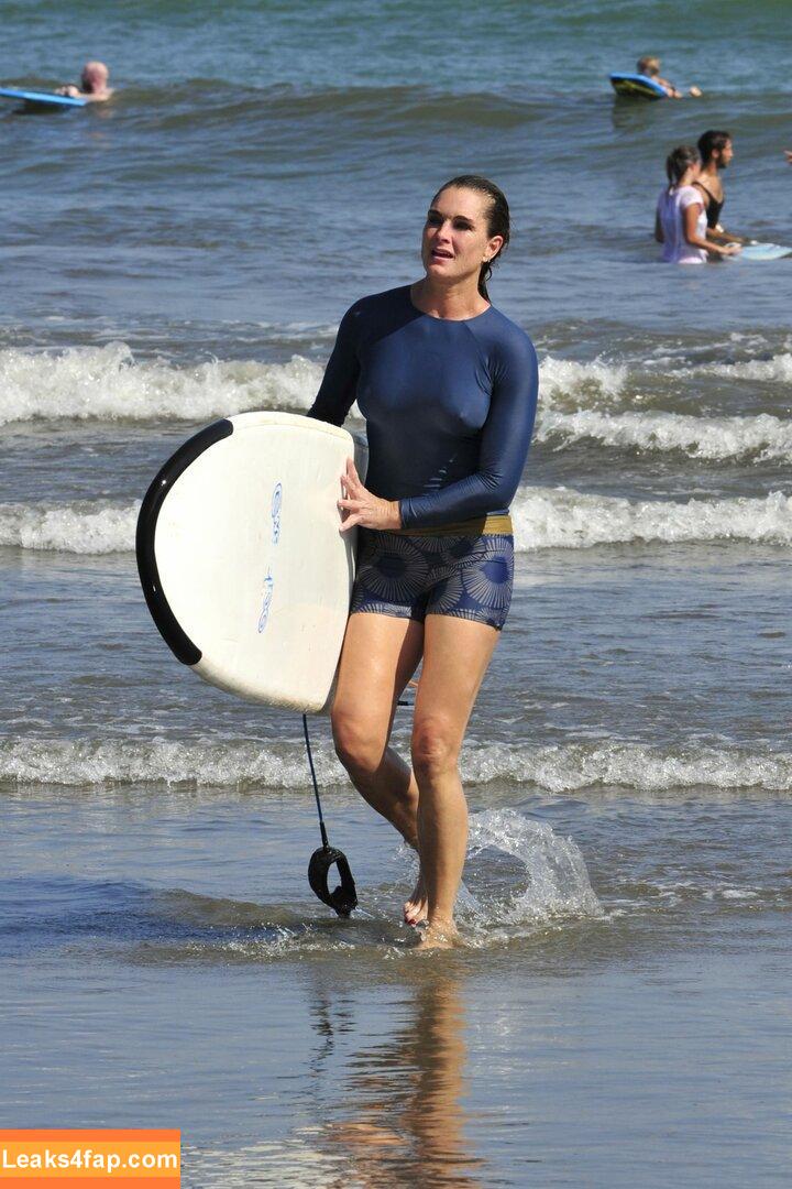 Brooke Shields / brookeshields leaked photo photo #0014