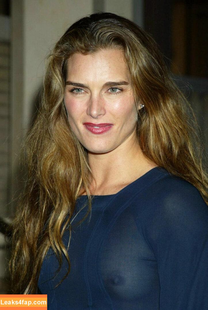 Brooke Shields / brookeshields leaked photo photo #0024