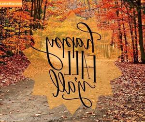 brookeshowsxx photo #0149