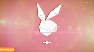 Brookliyn Wren photo #0112