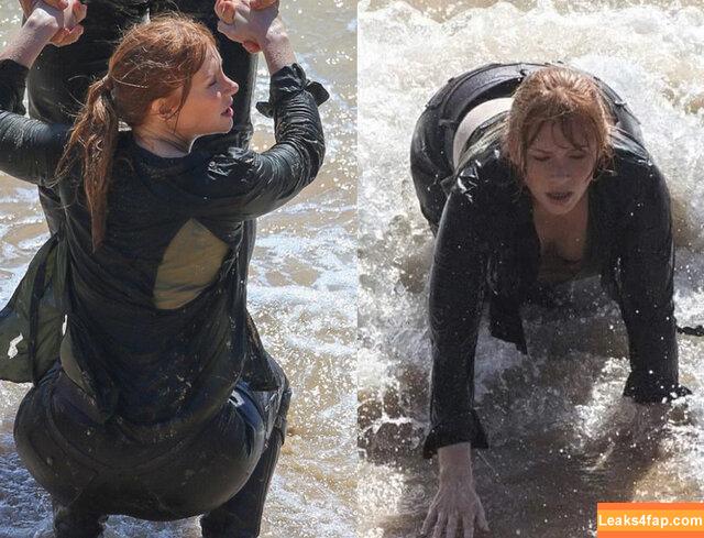 Bryce Dallas Howard / brycedhoward слитое фото фото #0040