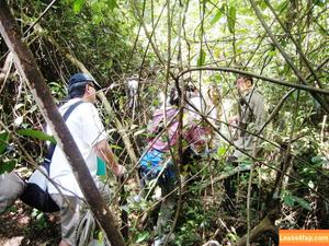 Bukit Brown photo #0002
