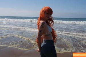 Busy B ASMR photo #0377