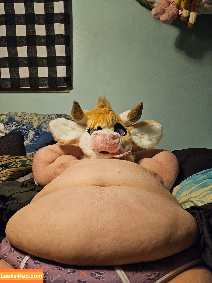 butterscotchcow / plushiesbyalice слитое фото фото #0243