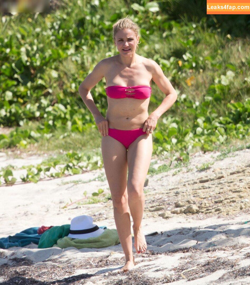 Cameron Diaz / camerondiaz / faentasy leaked photo photo #0429