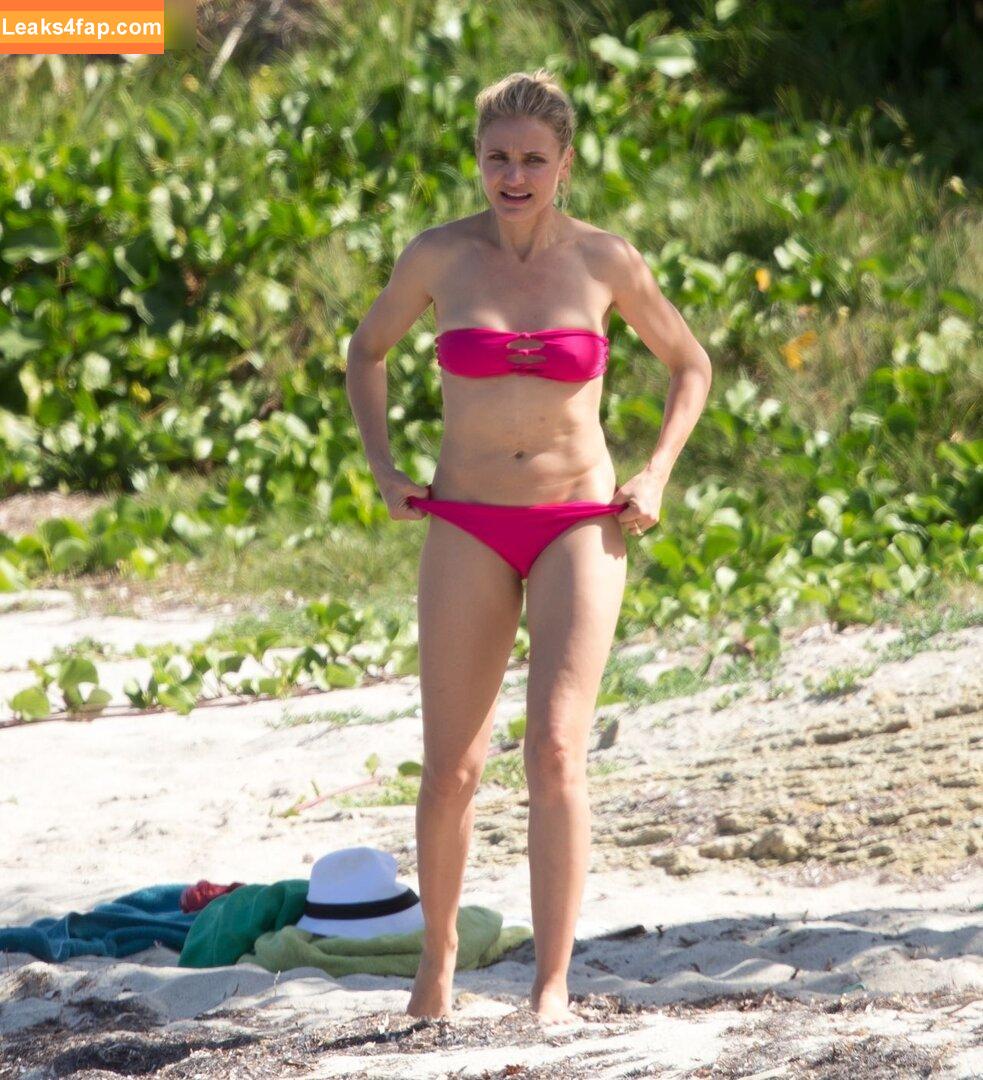 Cameron Diaz / camerondiaz / faentasy leaked photo photo #0433