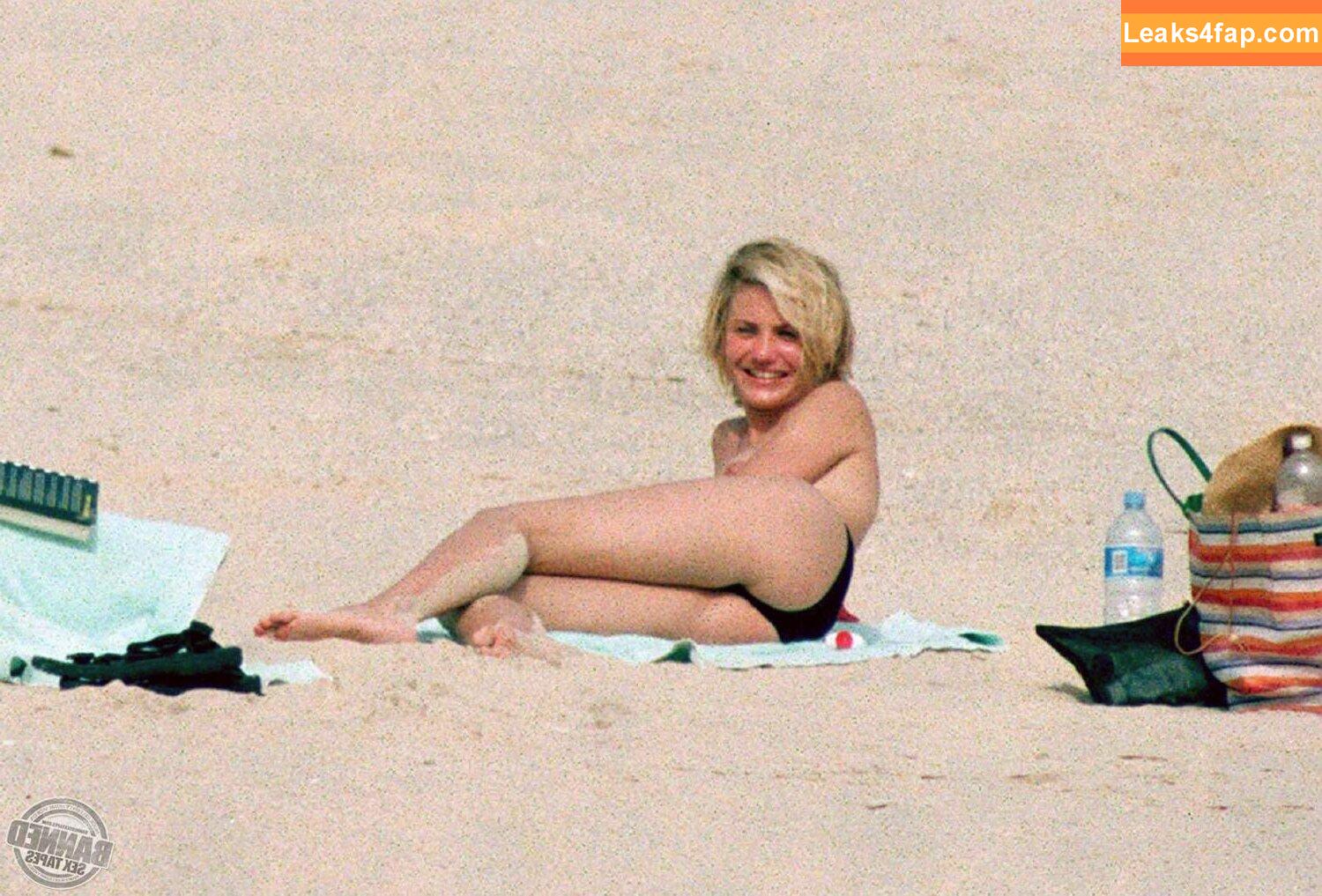 Cameron Diaz / camerondiaz / faentasy leaked photo photo #0514