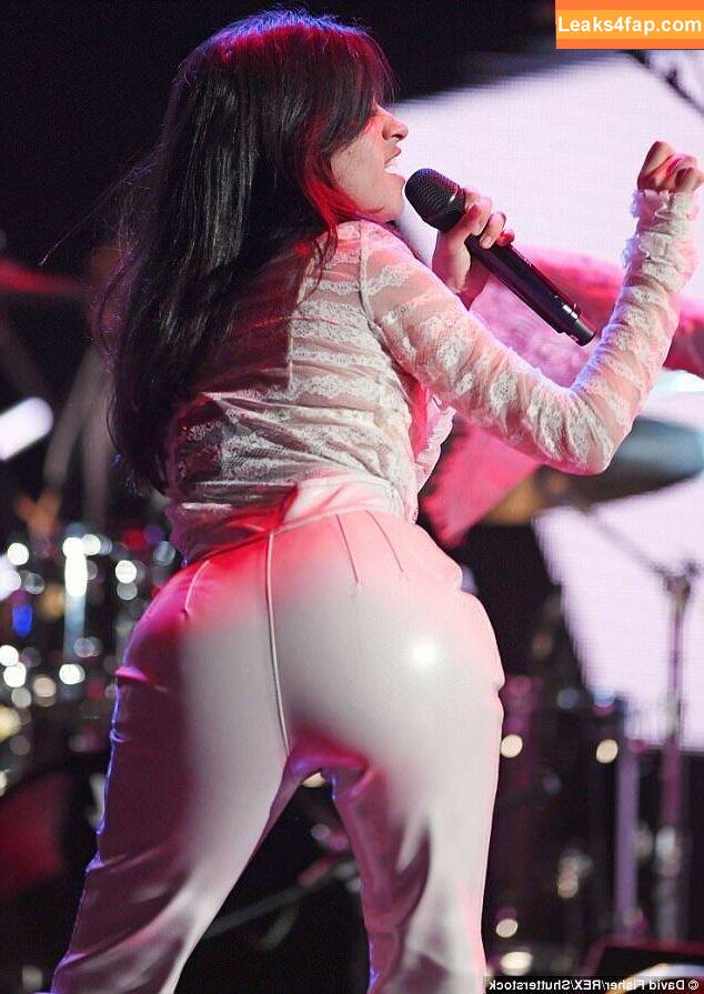 Camila Cabello / Camila_Cabello / camilacabello / iamgabrielaung leaked photo photo #0017