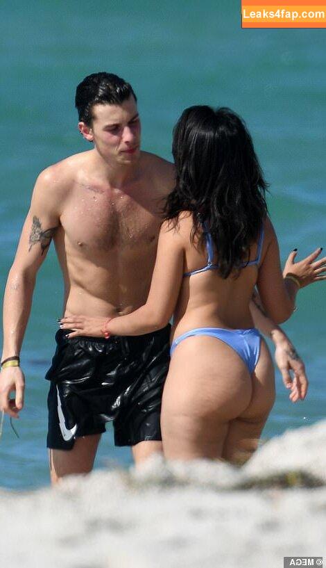 Camila Cabello / Camila_Cabello / camilacabello / iamgabrielaung leaked photo photo #0064