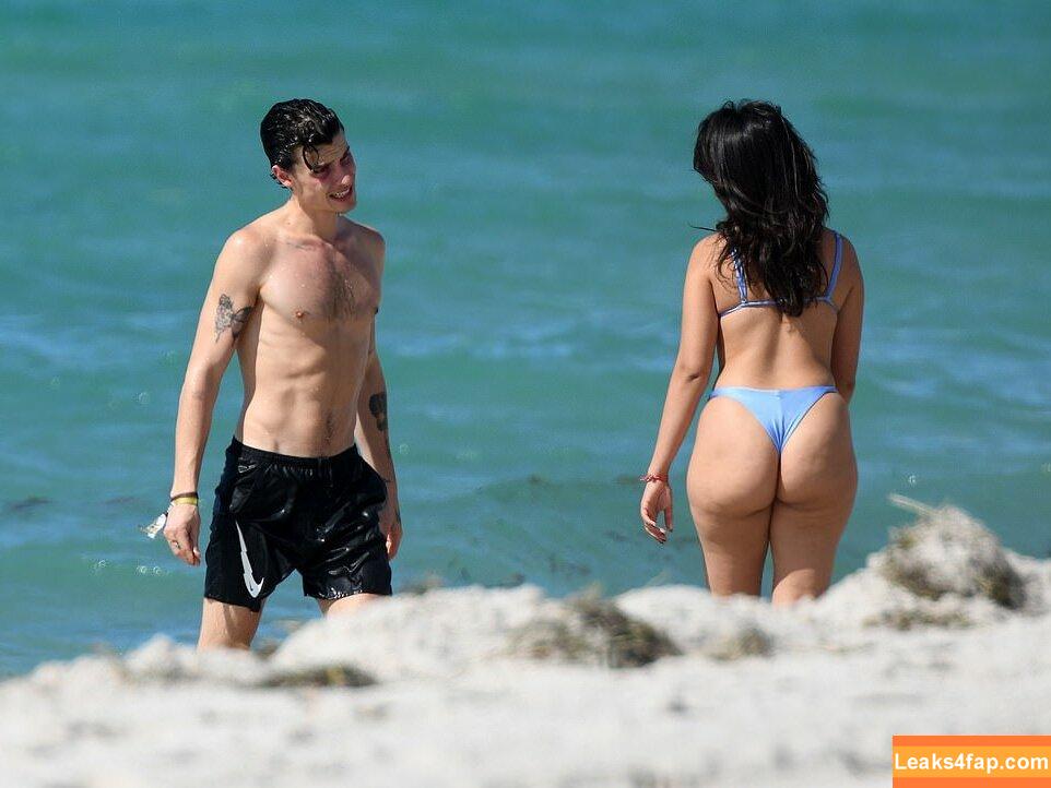 Camila Cabello / Camila_Cabello / camilacabello / iamgabrielaung leaked photo photo #0065