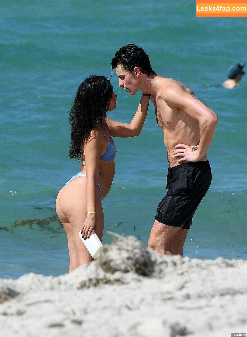 Camila Cabello / Camila_Cabello / camilacabello / iamgabrielaung leaked photo photo #0067