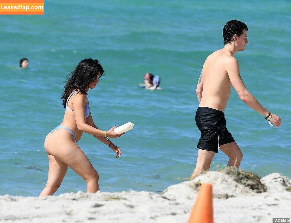 Camila Cabello / Camila_Cabello / camilacabello / iamgabrielaung leaked photo photo #0068