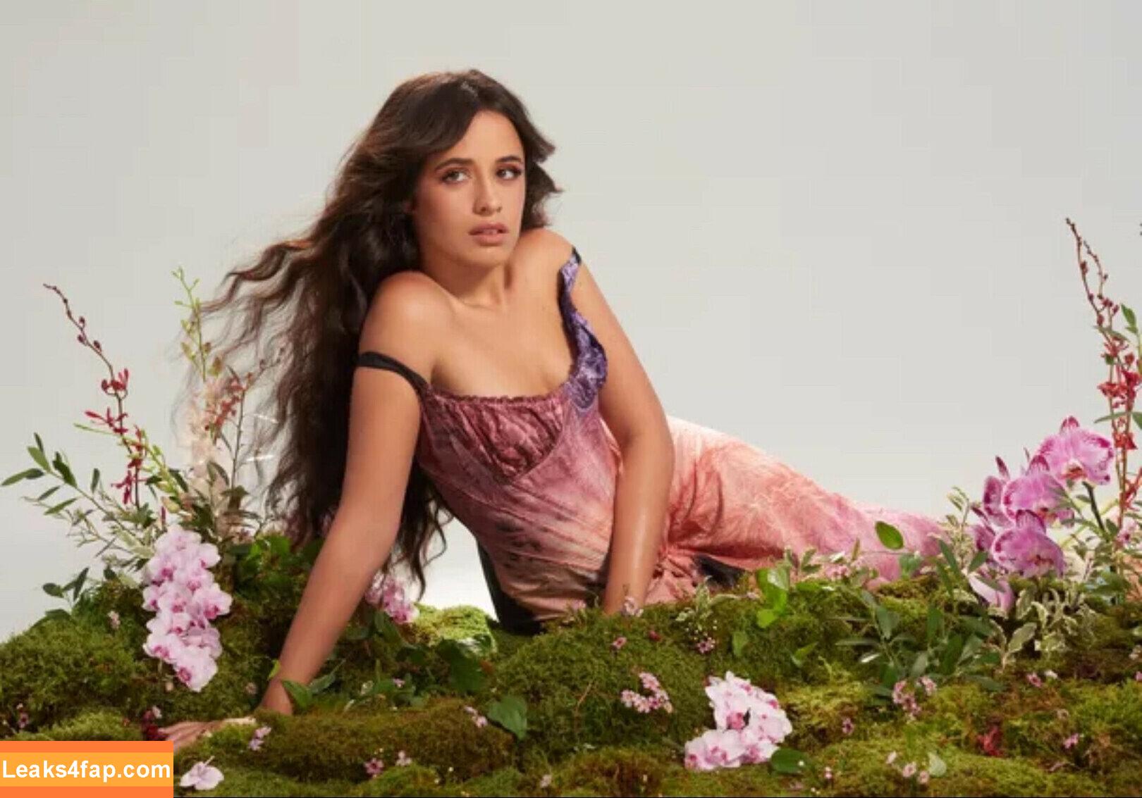 Camila Cabello / Camila_Cabello / camilacabello / iamgabrielaung leaked photo photo #0113