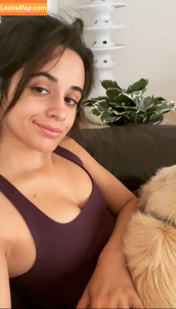 Camila Cabello / Camila_Cabello / camilacabello / iamgabrielaung leaked photo photo #0117