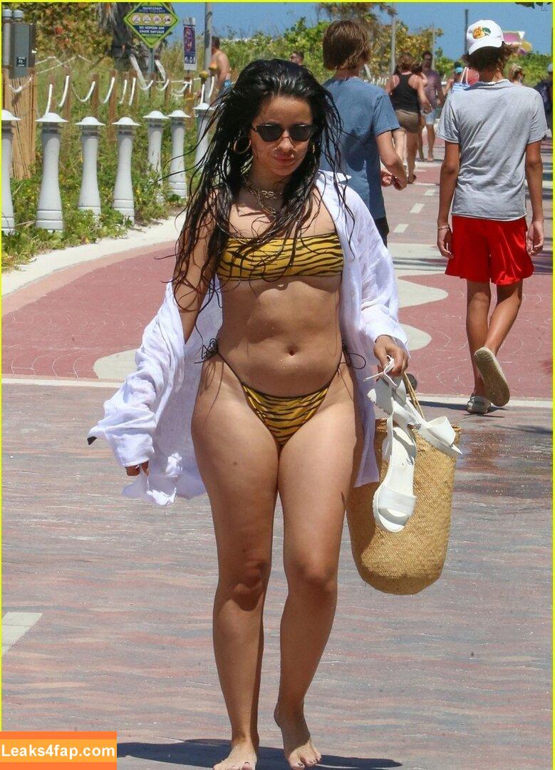 Camila Cabello / Camila_Cabello / camilacabello / iamgabrielaung leaked photo photo #0183