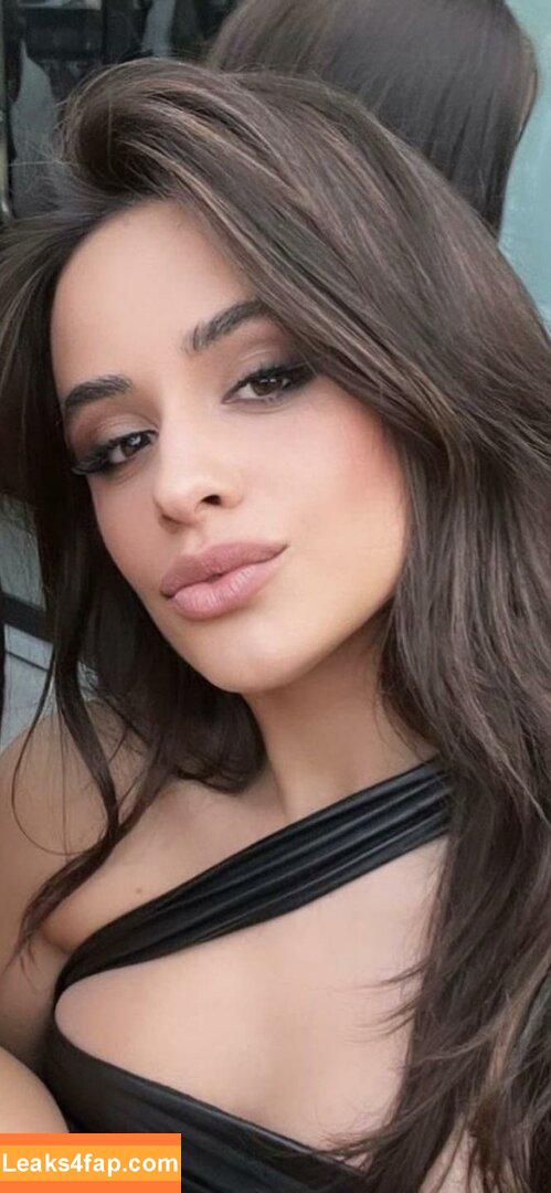 Camila Cabello / Camila_Cabello / camilacabello / iamgabrielaung leaked photo photo #0246