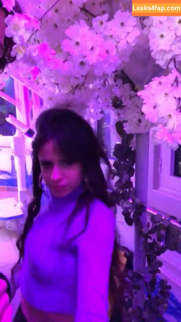 Camila Cabello / Camila_Cabello / camilacabello / iamgabrielaung leaked photo photo #0287