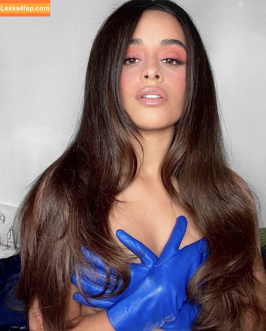 Camila Cabello / Camila_Cabello / camilacabello / iamgabrielaung leaked photo photo #0313