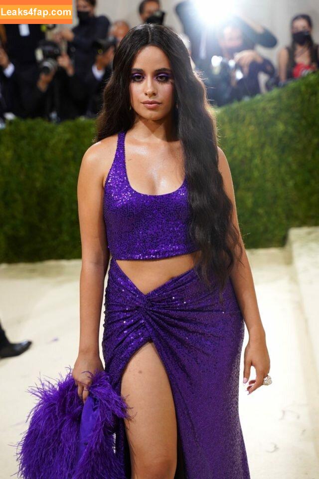 Camila Cabello / Camila_Cabello / camilacabello / iamgabrielaung leaked photo photo #0314