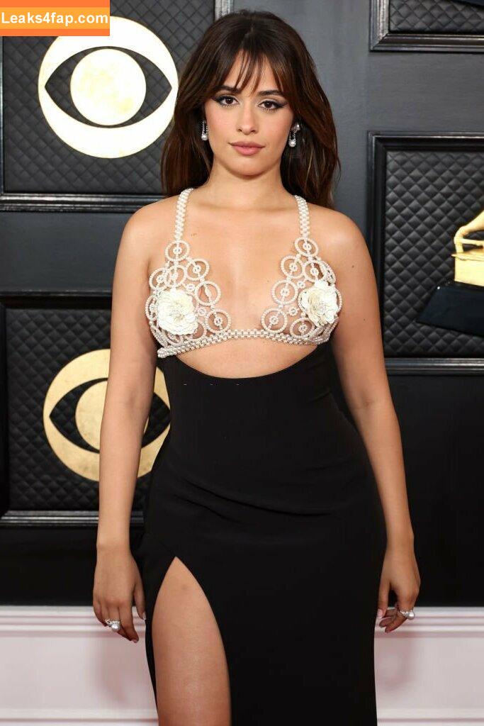 Camila Cabello / Camila_Cabello / camilacabello / iamgabrielaung leaked photo photo #0428