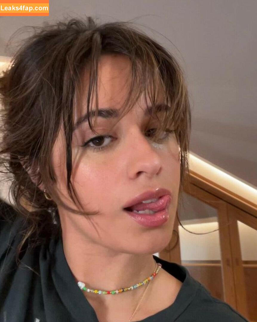 Camila Cabello / Camila_Cabello / camilacabello / iamgabrielaung leaked photo photo #0489