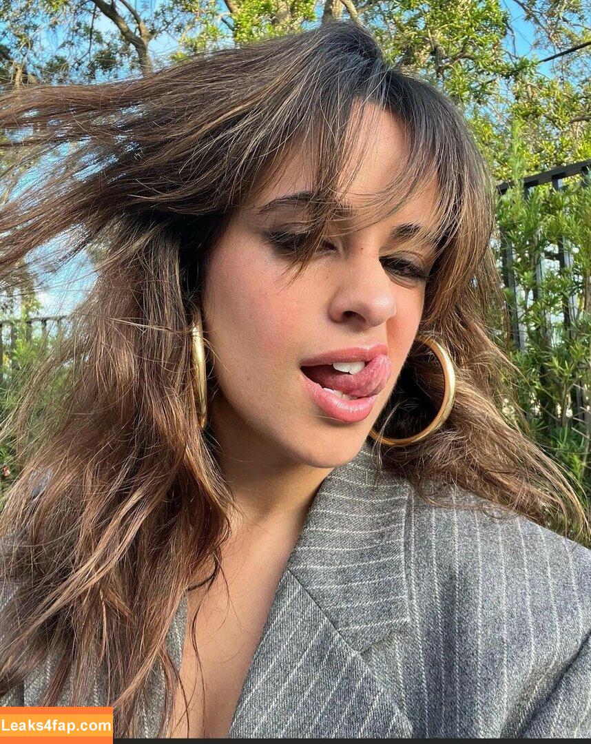 Camila Cabello / Camila_Cabello / camilacabello / iamgabrielaung leaked photo photo #0499