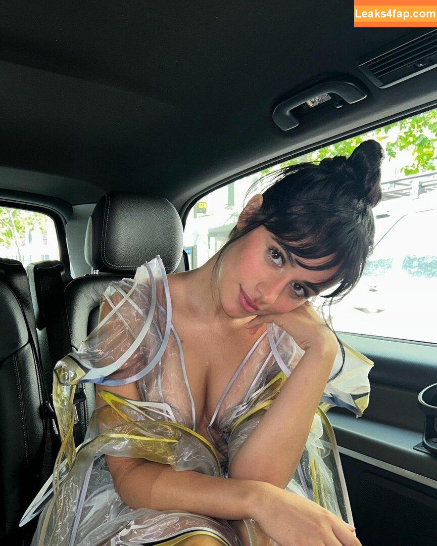 Camila Cabello / Camila_Cabello / camilacabello / iamgabrielaung leaked photo photo #0585