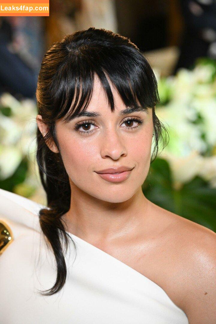 Camila Cabello / Camila_Cabello / camilacabello / iamgabrielaung leaked photo photo #0608