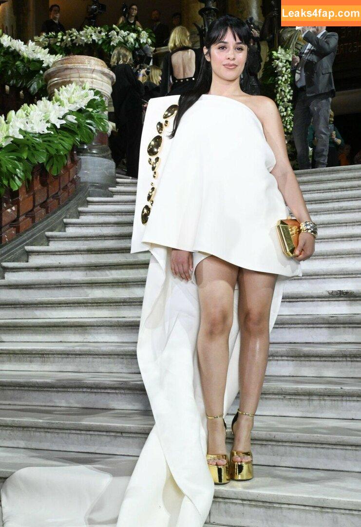 Camila Cabello / Camila_Cabello / camilacabello / iamgabrielaung leaked photo photo #0621