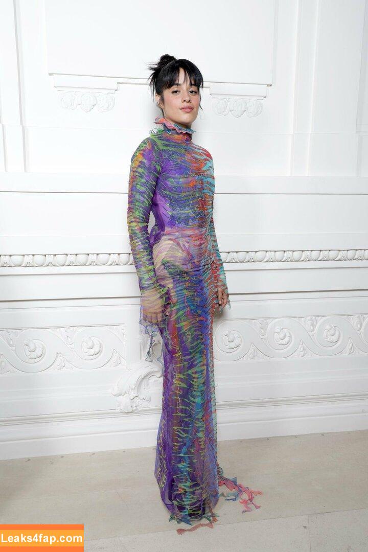 Camila Cabello / Camila_Cabello / camilacabello / iamgabrielaung leaked photo photo #0638