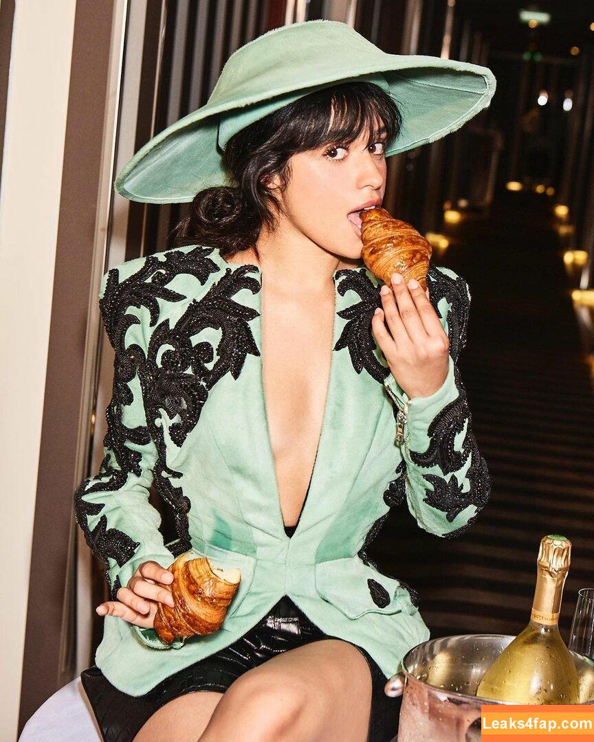 Camila Cabello / Camila_Cabello / camilacabello / iamgabrielaung leaked photo photo #0668