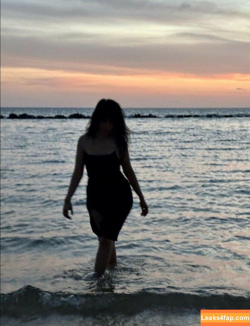 Camila Cabello / Camila_Cabello / camilacabello / iamgabrielaung leaked photo photo #0683