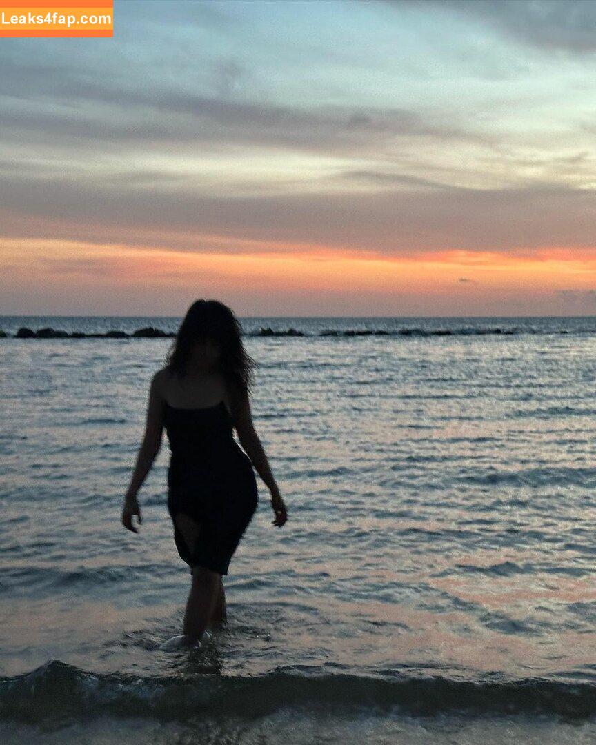 Camila Cabello / Camila_Cabello / camilacabello / iamgabrielaung leaked photo photo #0688