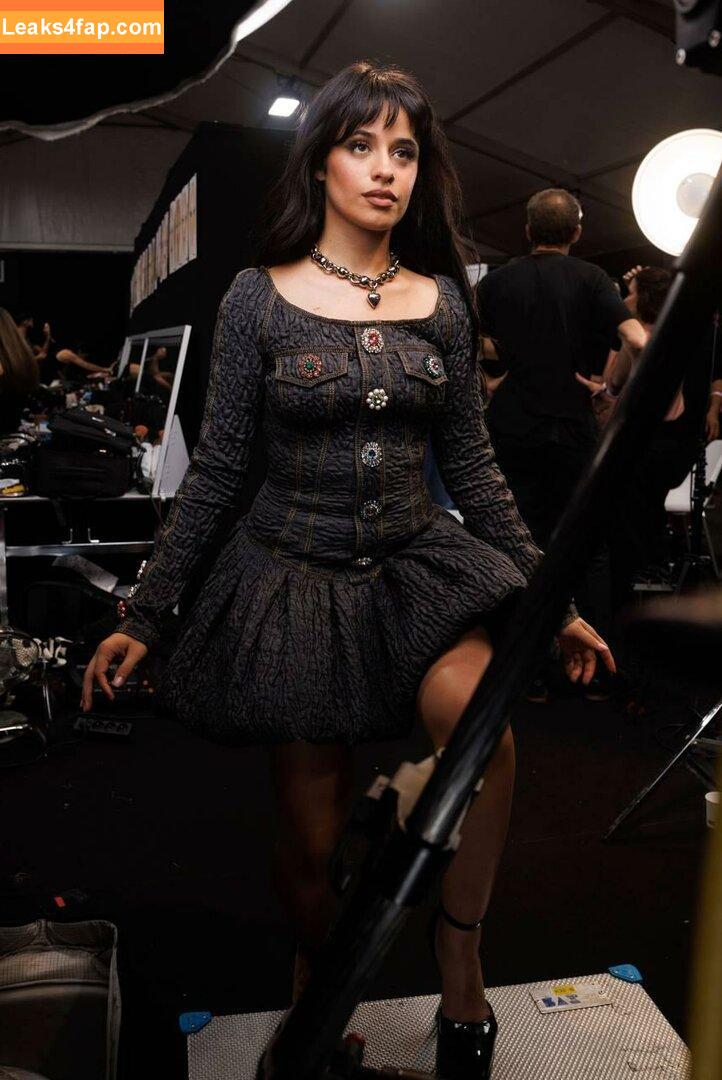 Camila Cabello / Camila_Cabello / camilacabello / iamgabrielaung leaked photo photo #0851
