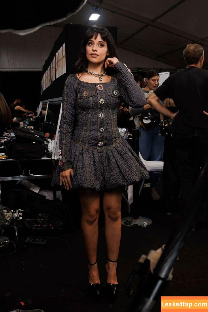 Camila Cabello / Camila_Cabello / camilacabello / iamgabrielaung leaked photo photo #0852