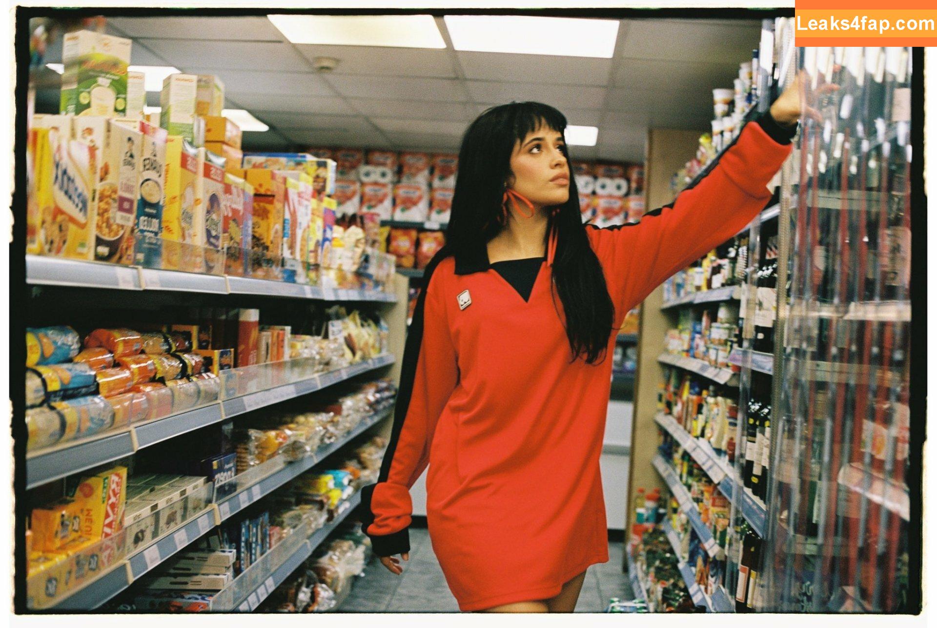 Camila Cabello / Camila_Cabello / camilacabello / iamgabrielaung leaked photo photo #0884