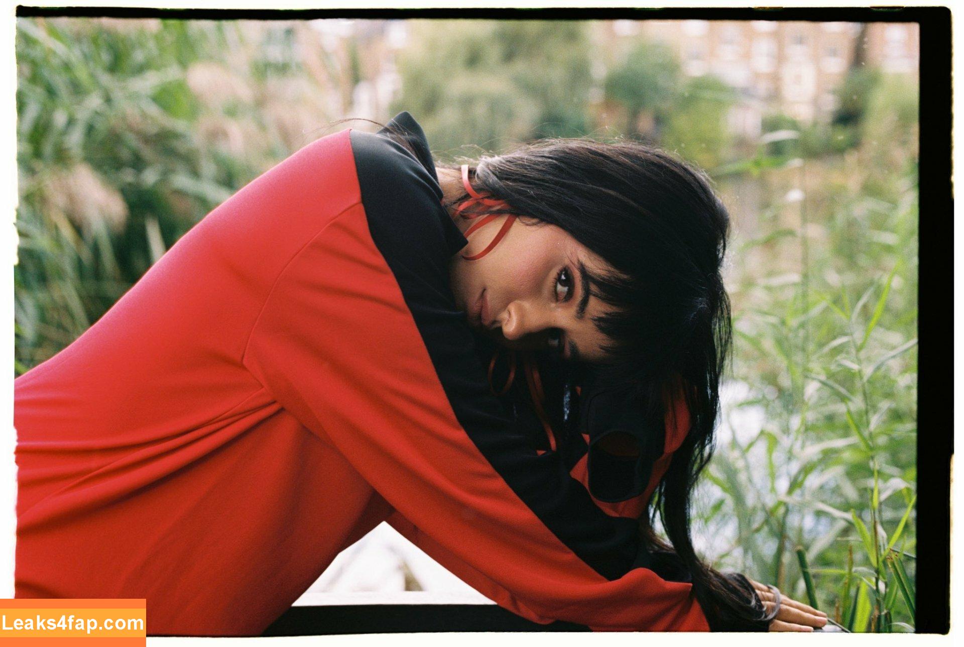 Camila Cabello / Camila_Cabello / camilacabello / iamgabrielaung leaked photo photo #0885