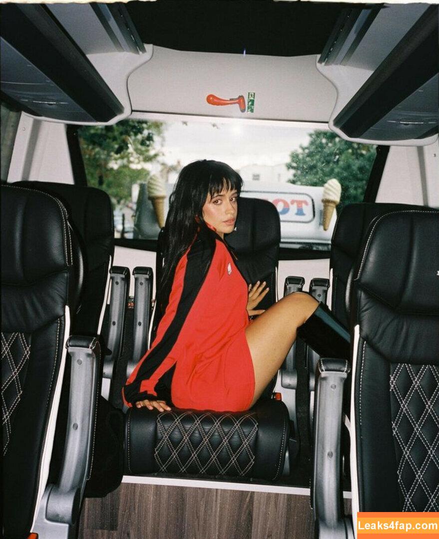 Camila Cabello / Camila_Cabello / camilacabello / iamgabrielaung leaked photo photo #0893